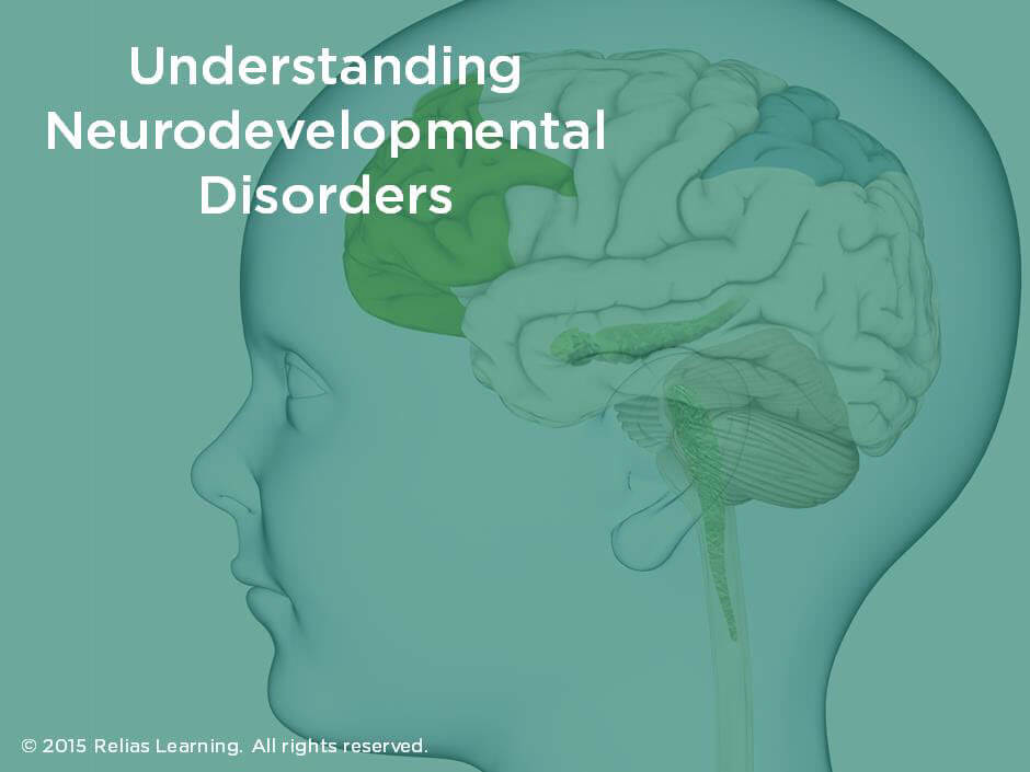 understanding-neurodevelopmental-disorders-relias-academy