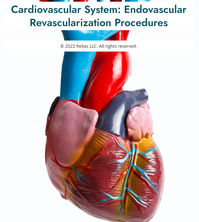 Cardiovascular System: Endovascular Revascularization Procedures