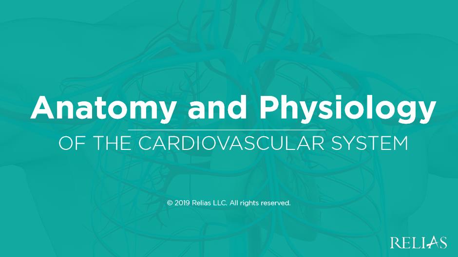 Anatomy and Physiology of the Cardiovascular System