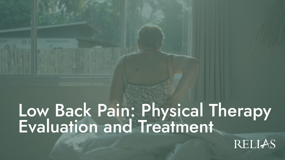 Low Back Pain: Physical Therapy Evaluation and Treatment Course Logo
