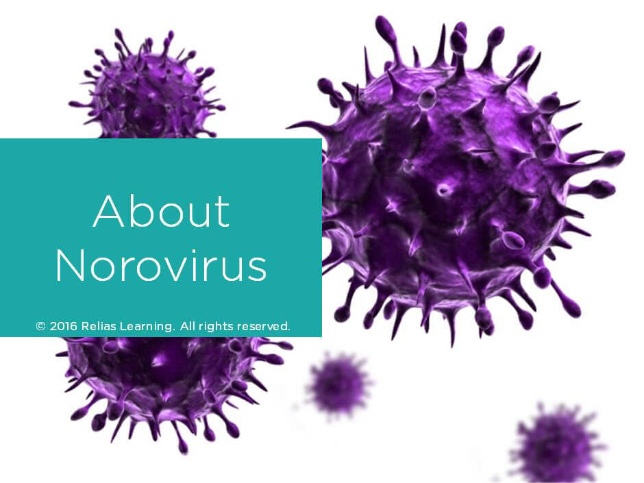 About Norovirus