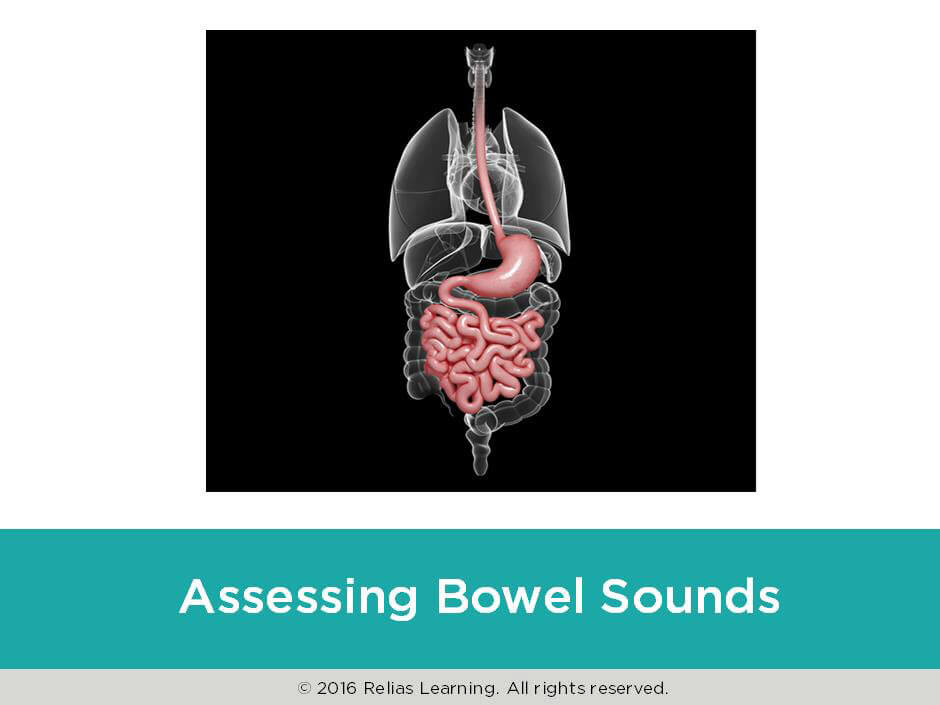 Rapid Review Assessing Bowel Sounds Relias Academy